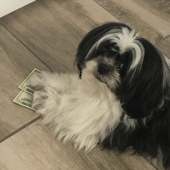 Meet your Posher, L - Picture 2 of 2